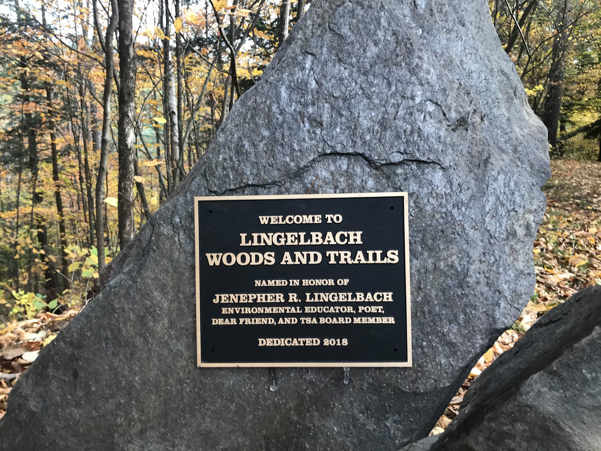 Lingelbach Woods dedication plaque at The Sharon Academy trail head