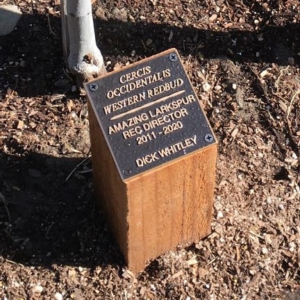 Thin gauge cast bronze commemorative plaque, City of Larkspur, California