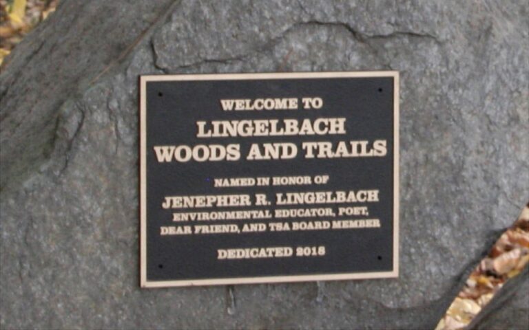 The Versatility of Cast Bronze Plaques: Where You Can Find These Timeless Treasures
