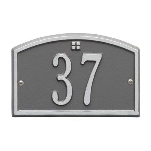 Pewter/Silver